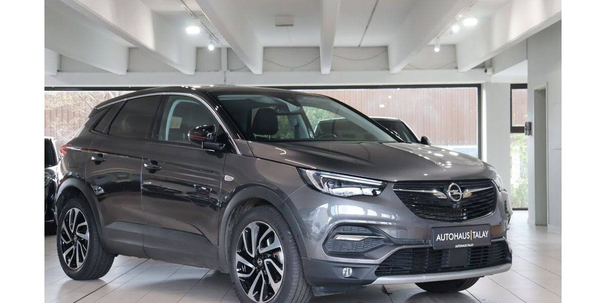 Opel Grandland (X) 86.381 km 19.880 &euro; Ludwigshafen am Rhein 67059