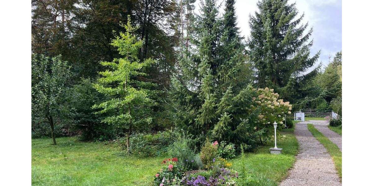 Grundstück Buchholz in der Nordheide Buchholz - 289.000&euro; | Angebot:23984313