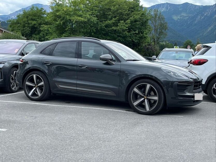 Macan