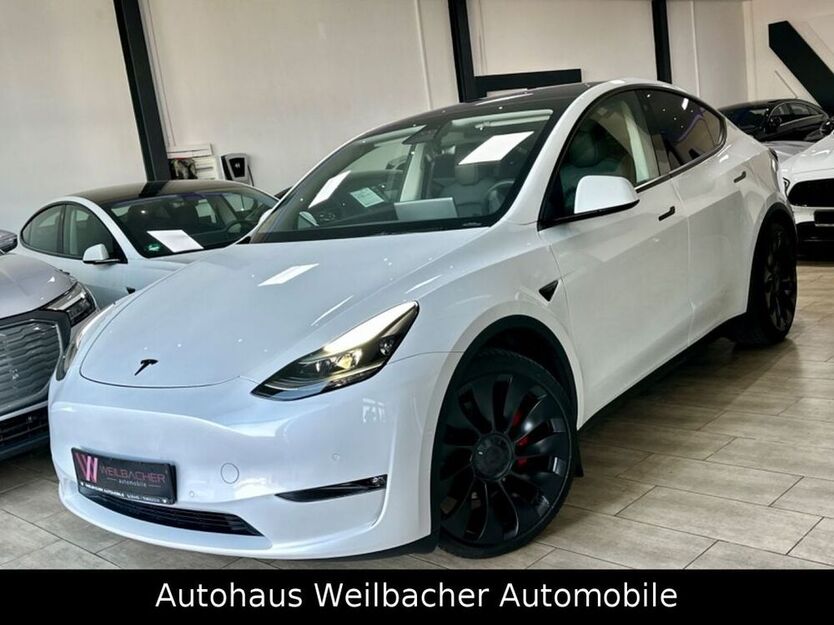 Model Y