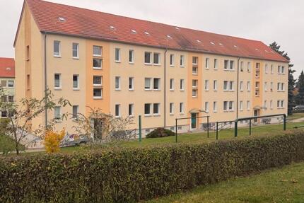 Frisch renovierte 2-Raum-Wohnung im 1. OG – Bezugsfrei ab 1.3.26 2 zimmer