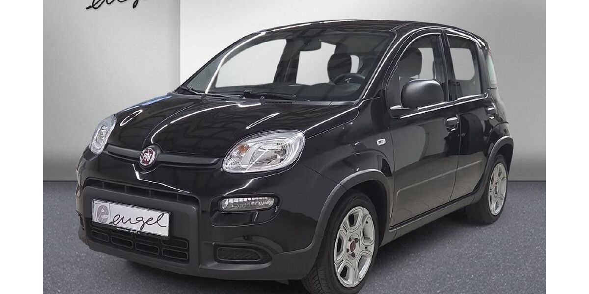 Fiat Panda 49.500 km 11.429 &euro; Wunsiedel 95632