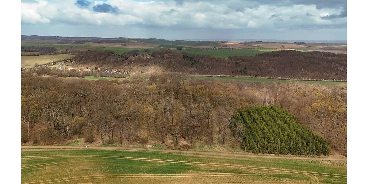 Grundstück Arnstein Stangerode - 57.000&euro; | Angebot:26246380