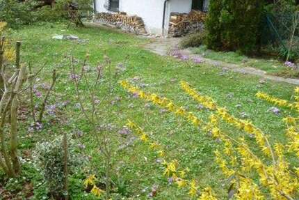 Haus Übersee - 2 Zimmer, 45 m&sup2;, 390.000&euro; | Angebot:26871831
