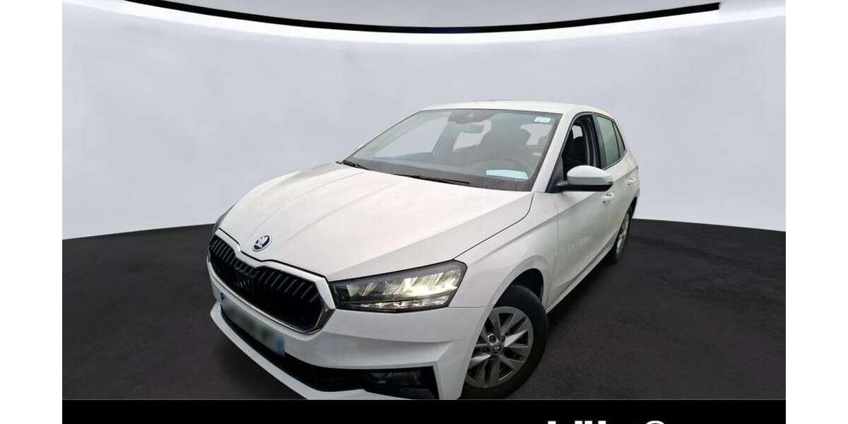 Skoda Fabia 40.227 km 14.980 &euro; Trier 54292