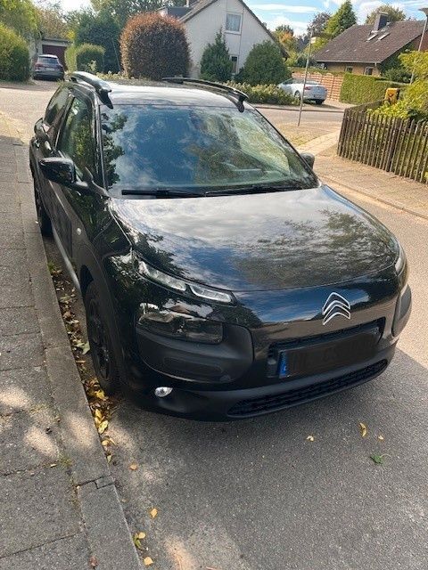 C4 Cactus