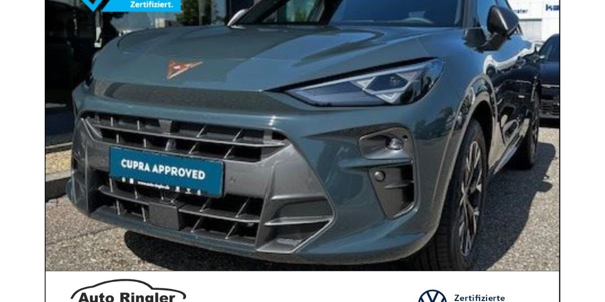 Cupra Terramar 4.500 km 31.980 &euro; Pocking 94060