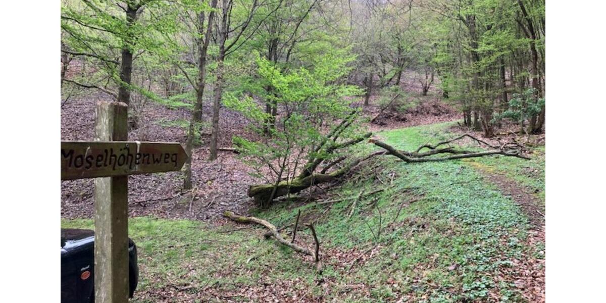 Grundstück Bruttig-Fankel Fankel - 5.950&euro; | Angebot:17639442