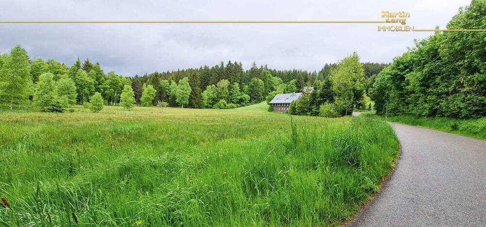Mehrfamilienhaus, Wohnhaus Breitnau - 2 Zimmer, 352 m&sup2;, 499.000&euro; | Angebot:25776119
