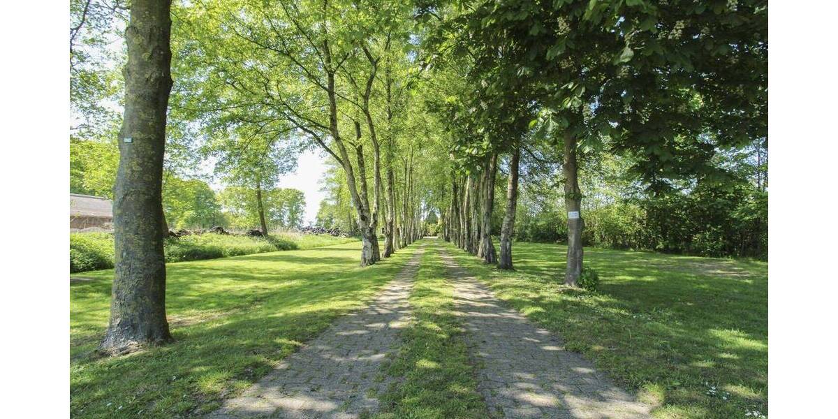 Einfamilienhaus Wischhafen Neulandermoor - 7 Zimmer, 369.000&euro; | Angebot:26689248