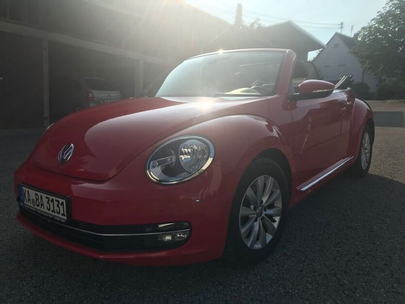 Beetle
