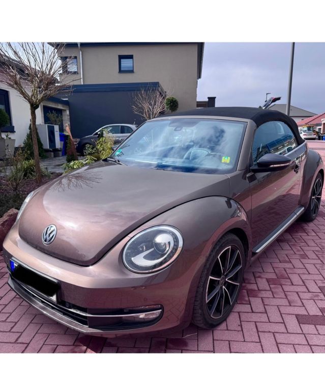 Beetle
