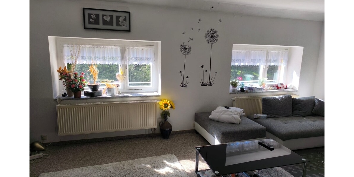 Provisionsfrei! Großzügiges Immobilien-Ensemble für Gewerbe und Privat mit enormem Potenzial - Gewerbeobjekt Rechenberg-Bienenmühle Bienenmühle | Angebot:27235100