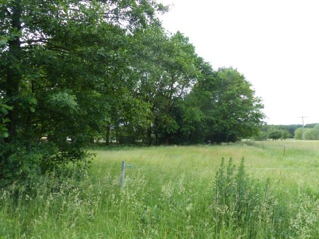 Auktion - Land- und forstwirtschaftliche Fläche mit ruinösem Gebäude