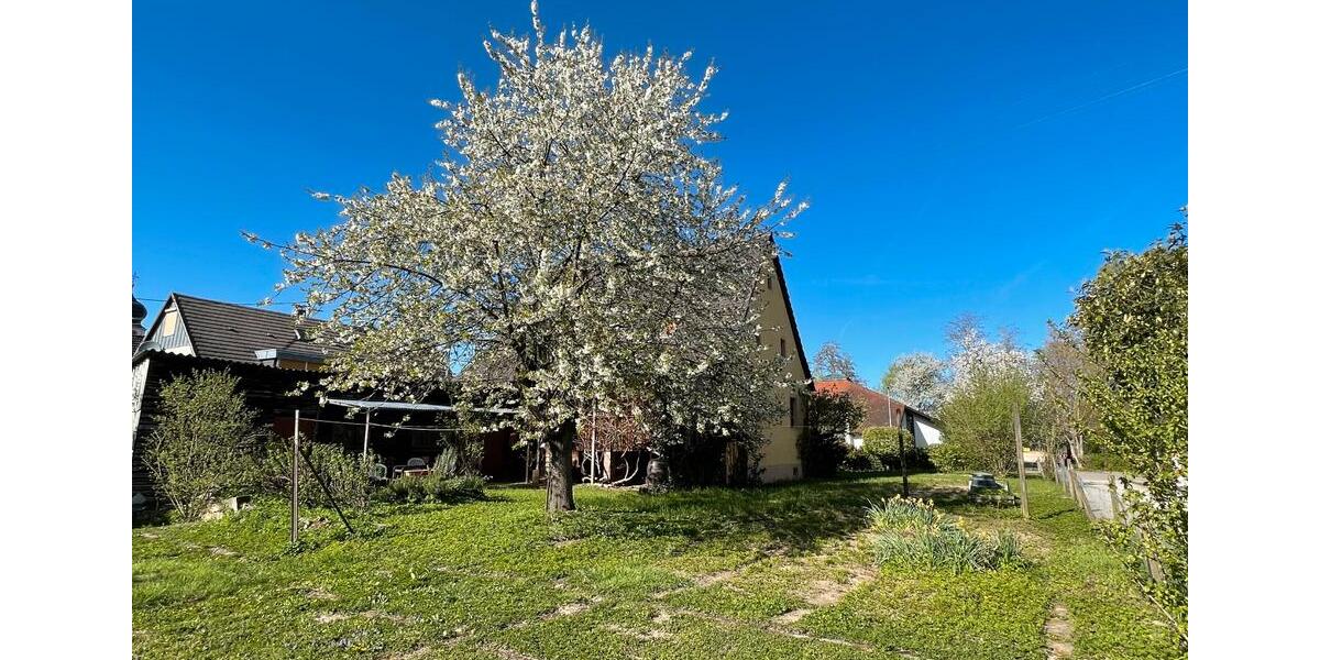 Einfamilienhaus Ehrenkirchen - 7 Zimmer, 152 m&sup2;, 489.000&euro; | Angebot:26763495