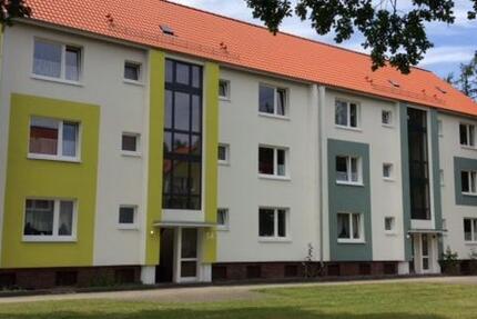 Renovierte 2-Zimmer-Wohnung 1.5 zimmer