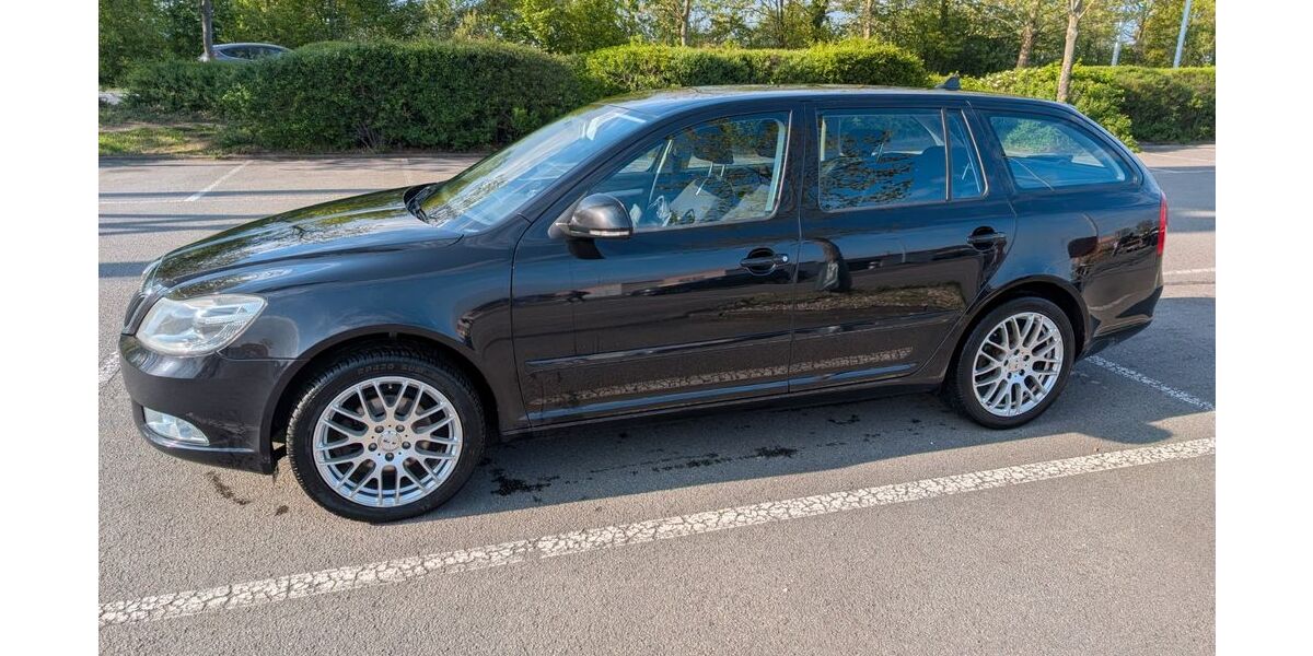 Skoda Octavia 310.000 km 3.900 &euro; Offenbach 76877