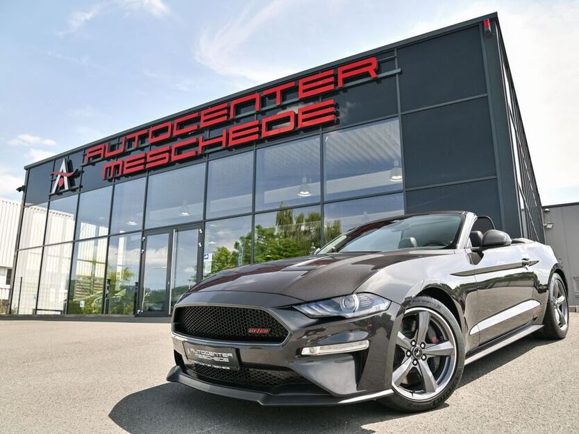 Mustang