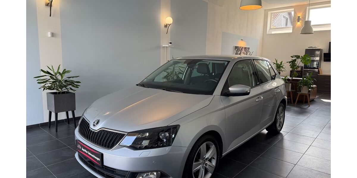 Skoda Fabia 53.152 km 11.490 &euro; Gera 07552