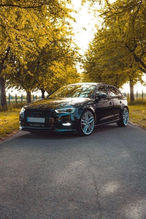 A3