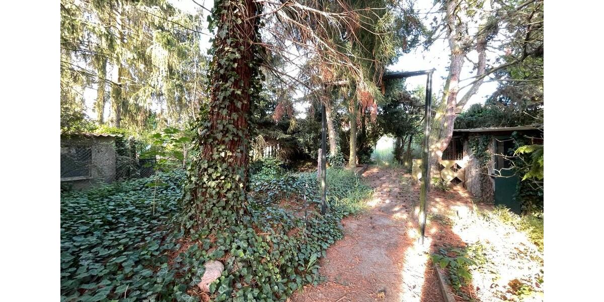Doppelhaushälfte Elbe-Parey Parey - 5 Zimmer, 110 m&sup2;, 125.000&euro; | Angebot:26934773