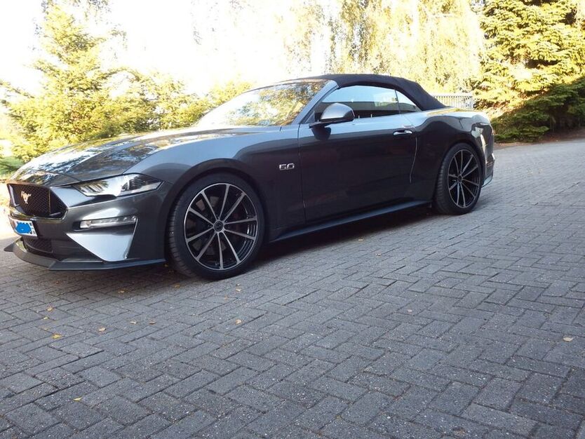 Mustang