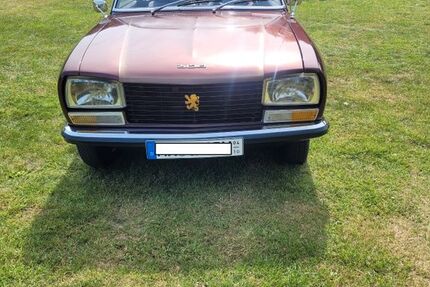 Peugeot 304