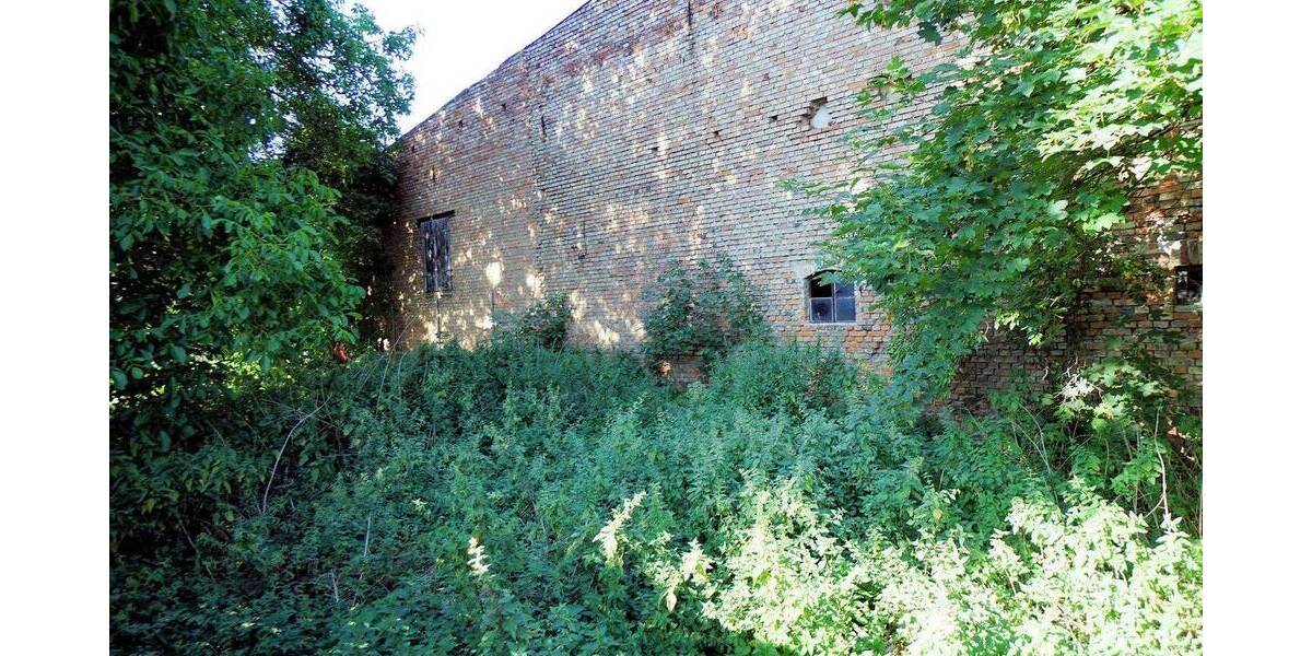 Grundstück Ballenstedt Opperode - 39.000&euro; | Angebot:25686348