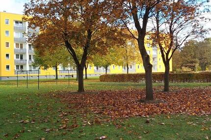 Wohnung Schwerin Mueß - 4 Zimmer, 82 m&sup2;, 513&euro; | Angebot:25255449