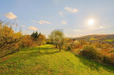 VERWIRKLICHEN SIE IHREN TRAUM VOM EIGENEN HAUS - Grundstück Merkers-Kieselbach Kieselbach | Angebot:26345675