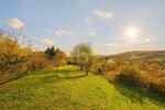 VERWIRKLICHEN SIE IHREN TRAUM VOM EIGENEN HAUS - Grundstück Merkers-Kieselbach Kieselbach | Angebot:26345675