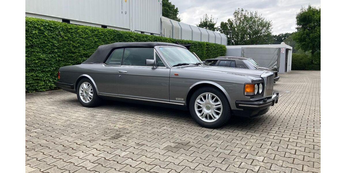 Bentley Continental 13.000 km 185.000 &euro; Perlesreut 94157