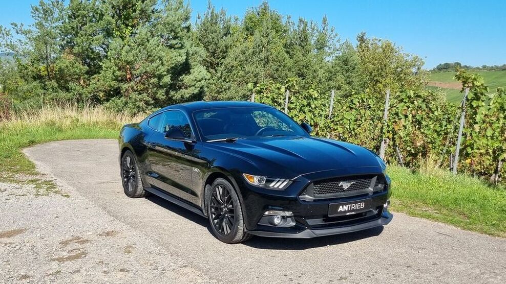 Mustang