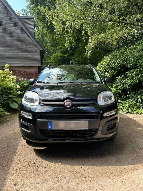 Panda