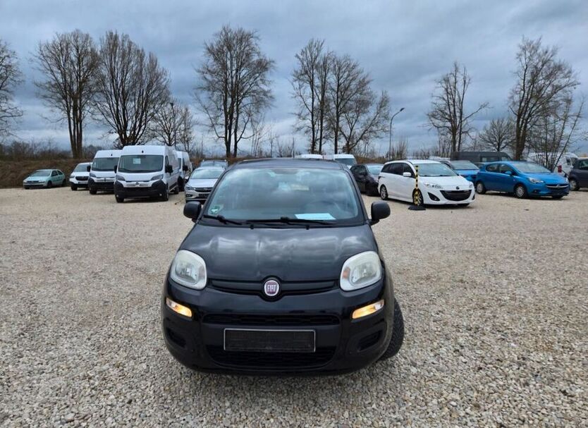 Panda