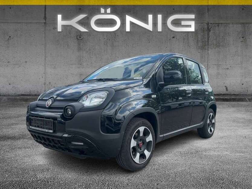 Panda