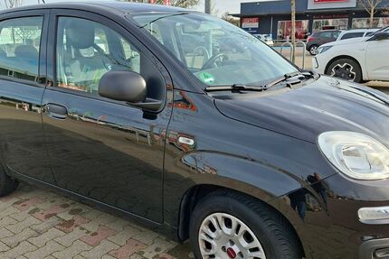 Fiat Panda 28.000 km 9.000 &euro; Syrgenstein 89428