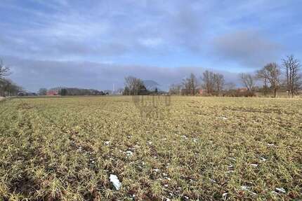 Grundstück Raddestorf - 198.000&euro; | Angebot:25084012