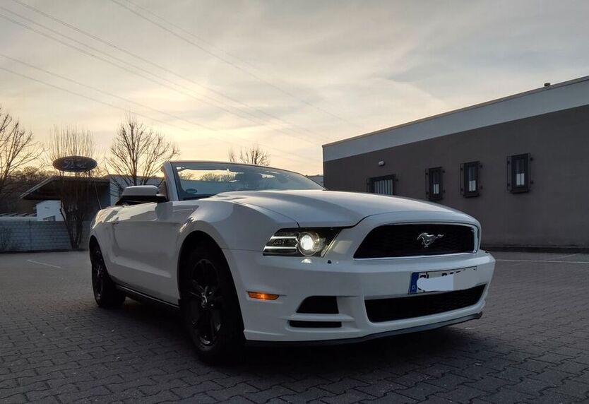 Mustang
