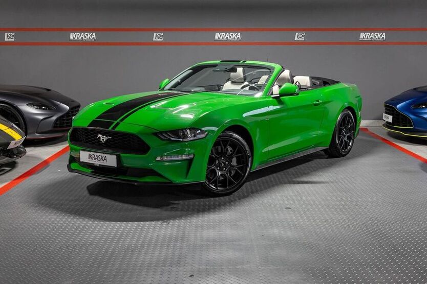 Mustang