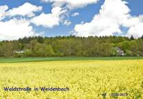 Grundstück zu verkaufen in Weidenbach 390.000 € 3000 m²