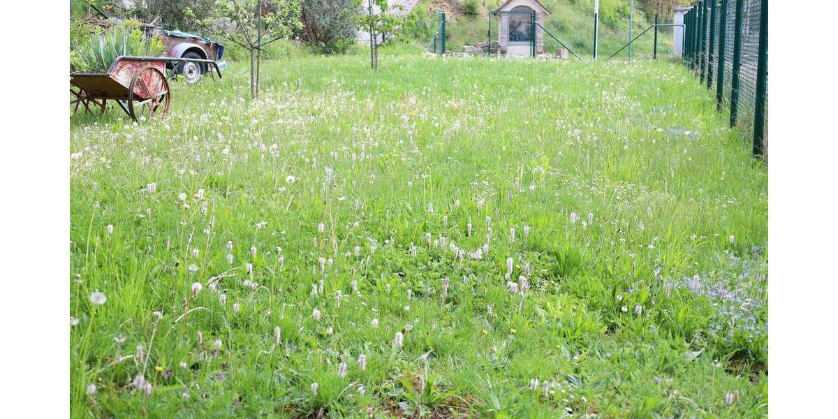 Grundstück Hechingen - 146.000&euro; | Angebot:25775852