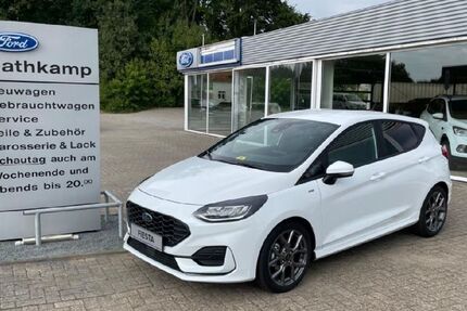 Ford Fiesta 31.000 km 21.250 &euro; Syke 28857