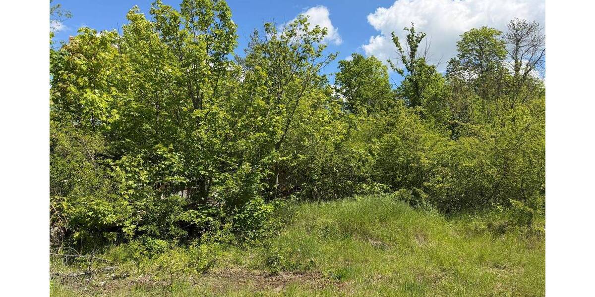 Grundstück Strehla - 89.000&euro; | Angebot:26713893