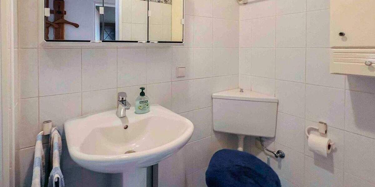 Ein-Zwei- Familienhaus mit großem Grundstück, Sehr Zentral und doch Privat in Luthe 7 zimmer