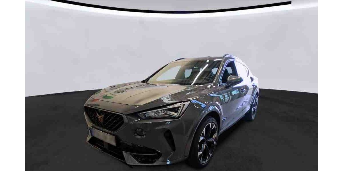 Cupra Formentor 61.550 km 27.490 &euro; Diez 65582