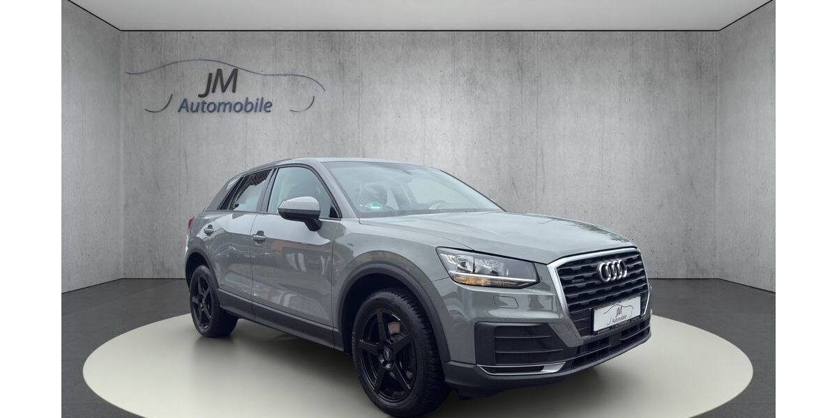 Audi Q2 79.987 km 20.900 &euro; Meckenbeuren 88074
