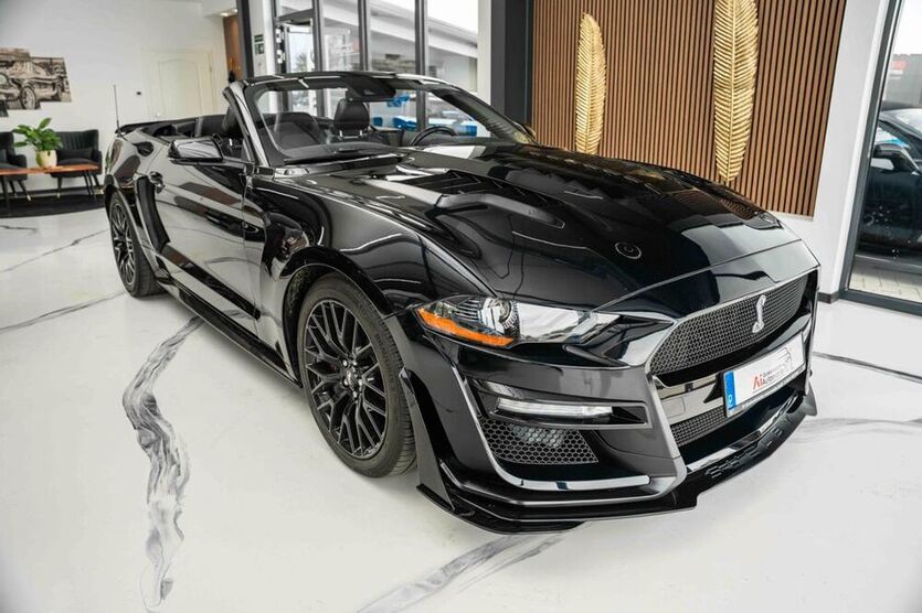 Mustang