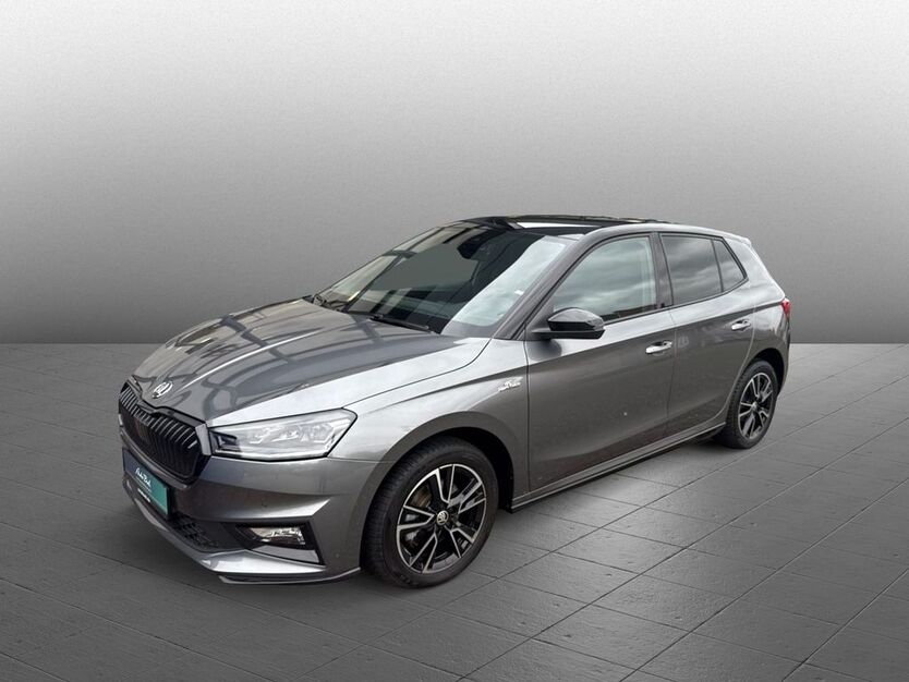 Skoda Fabia 20.445 km 24.890 € Diez 65582