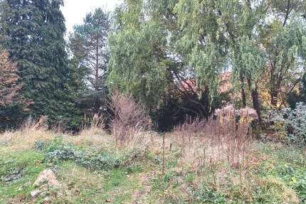 Grundstück zu verkaufen in Dresden 121.900 € 530 m² zimmer